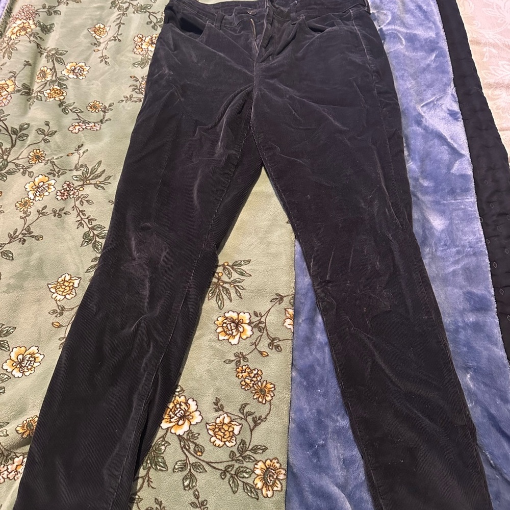 American Eagle Outfitters Dark Corduroy Pants